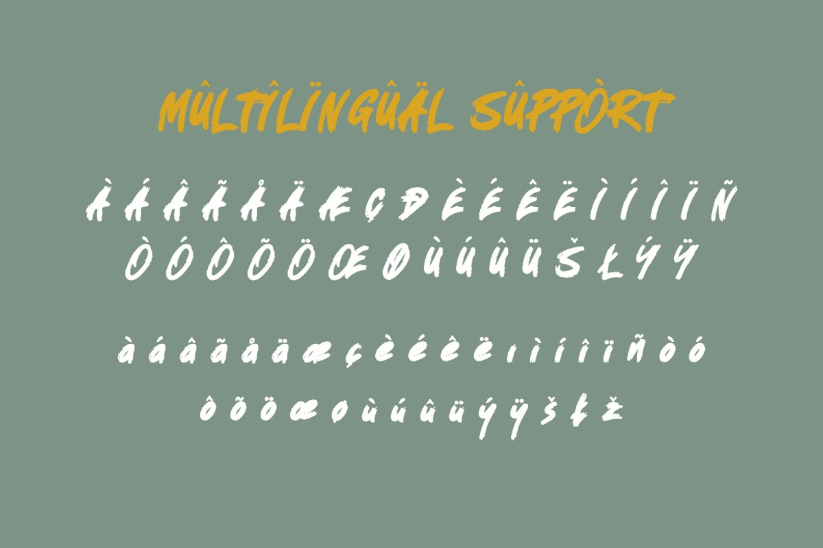 现代优雅杂志海报徽标设计手写英文字体安装包 Koxtreitz – Brush Handwritten Font 设计素材 第13张-素材湾丨精选海外优质设计素材资源 现代优雅杂志海报徽标设计手写英文字体安装包 Koxtreitz – Brush Handwritten Font 设计素材 sucaiwan.com