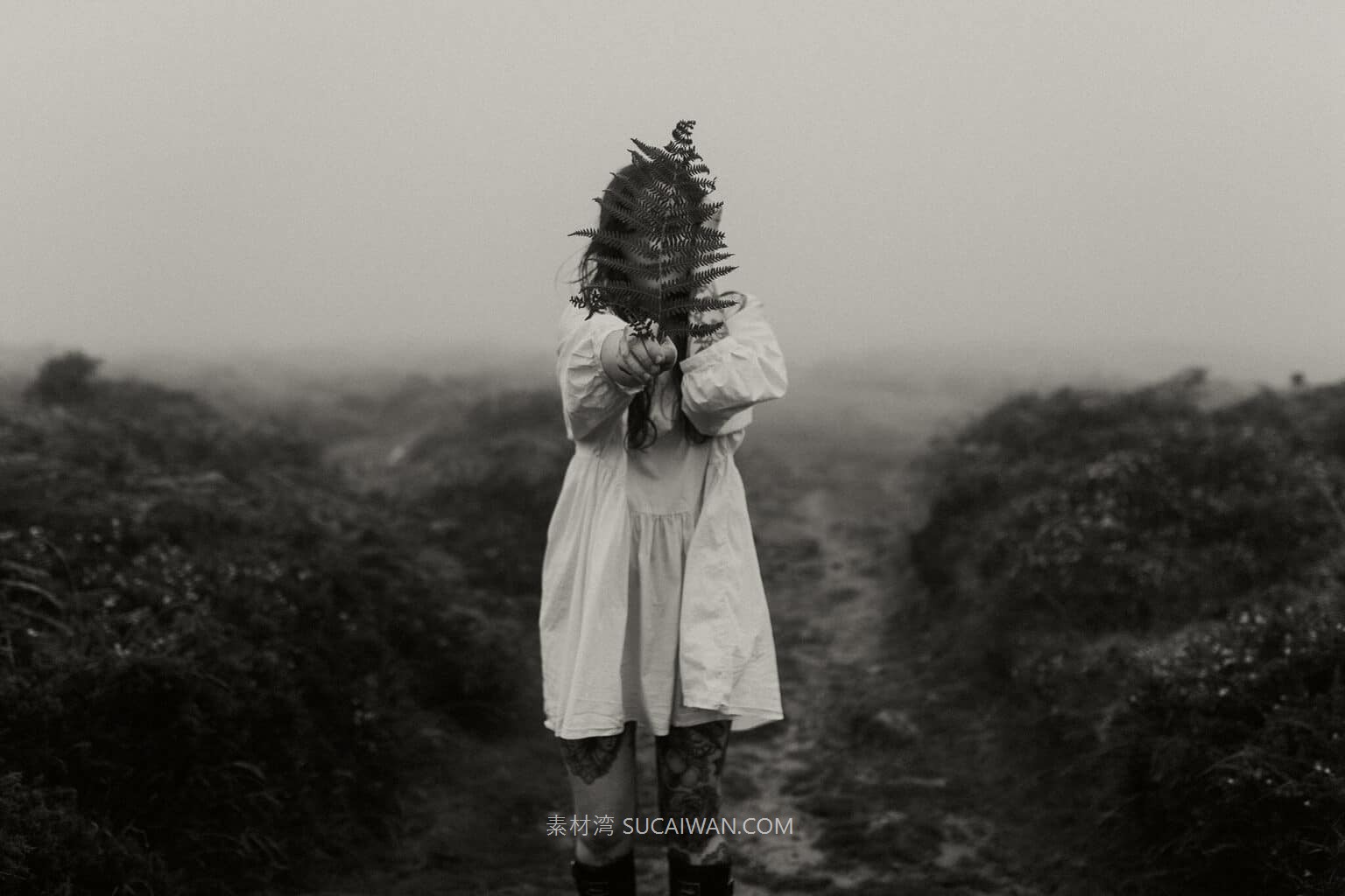 高级风格化淡金色黑白柔和复古人物肖像写真照片调色Lightroom预设包Archipelago – North Star Presets 插件预设 第2张-素材湾丨精选海外优质设计素材资源 高级风格化淡金色黑白柔和复古人物肖像写真照片调色Lightroom预设包Archipelago – North Star Presets 插件预设 sucaiwan.com