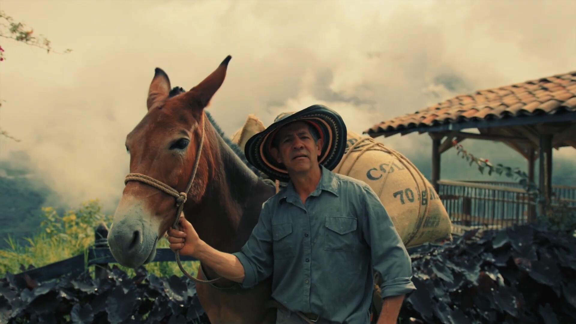 28组复古柯达Kodak胶片模拟电影外观rec709&log视频调色lut预设包Pixflow – CL-Kodak LUTs 插件预设 第5张-素材湾丨精选海外优质设计素材资源 28组复古柯达Kodak胶片模拟电影外观rec709&log视频调色lut预设包Pixflow – CL-Kodak LUTs 插件预设 sucaiwan.com