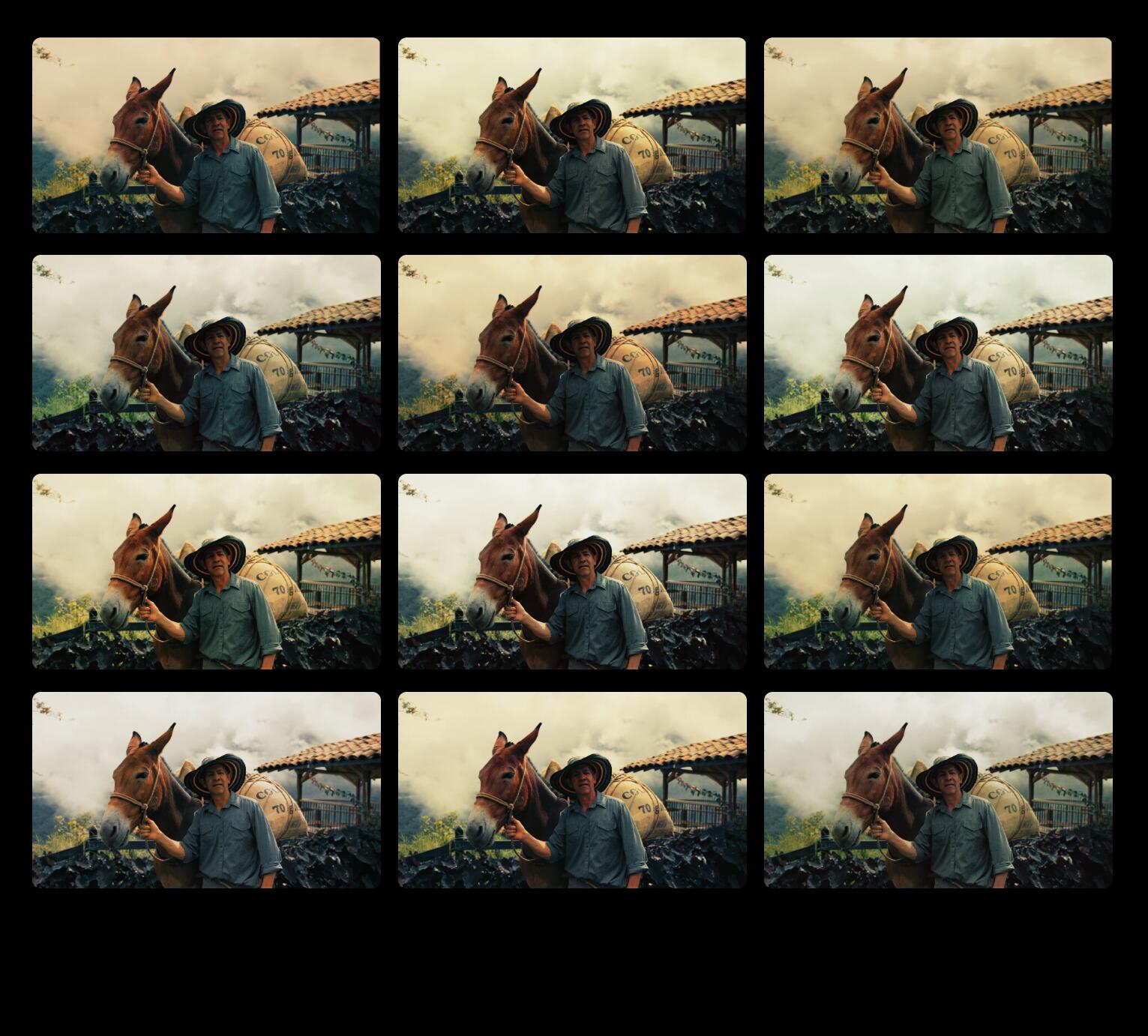 28组复古柯达Kodak胶片模拟电影外观rec709&log视频调色lut预设包Pixflow – CL-Kodak LUTs 插件预设 第10张-素材湾丨精选海外优质设计素材资源 28组复古柯达Kodak胶片模拟电影外观rec709&log视频调色lut预设包Pixflow – CL-Kodak LUTs 插件预设 sucaiwan.com