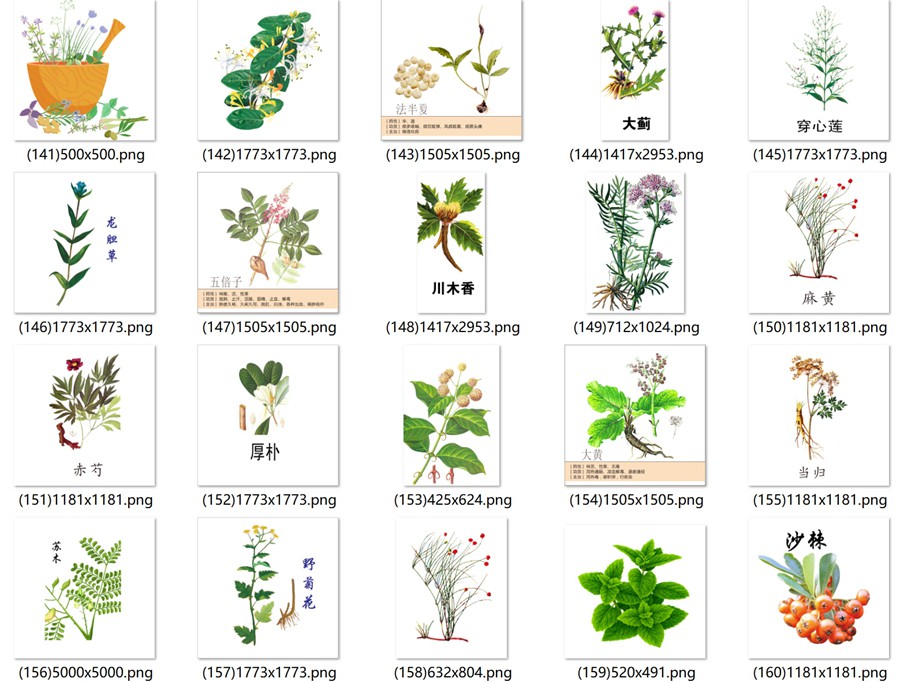 手绘中医草药草本植物插图背景PNG免抠图片 养生材图案PS素材 , sucaiwan.com