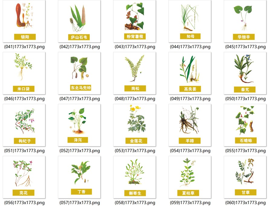 手绘中医草药草本植物插图背景PNG免抠图片 养生材图案PS素材 , sucaiwan.com