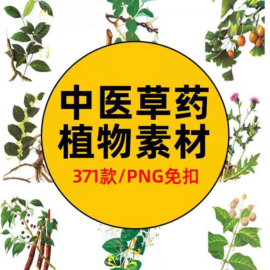 手绘中医草药草本植物插图背景PNG免抠图片 养生材图案PS素材 , sucaiwan.com