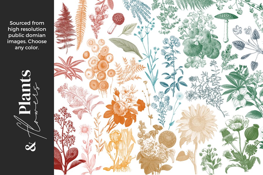 50款动态混合铅笔细线水墨粉笔蜡笔油画丙烯酸飞溅图章procreate笔刷画笔素材Alainajensen – Mixed Media Collage Brushes for Procreate 笔刷资源 第6张-素材湾丨精选海外优质设计素材资源 50款动态混合铅笔细线水墨粉笔蜡笔油画丙烯酸飞溅图章procreate笔刷画笔素材Alainajensen – Mixed Media Collage Brushes for Procreate 笔刷资源 sucaiwan.com