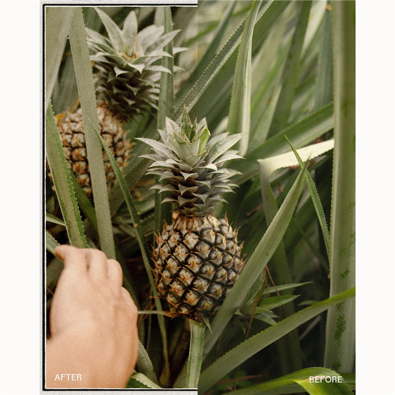 经典复古永恒胶片颗粒模拟电影美学旅拍风景照片调色Lightroom预设envijon – Modern Classic Collection 插件预设 第7张-素材湾丨精选海外优质设计素材资源 经典复古永恒胶片颗粒模拟电影美学旅拍风景照片调色Lightroom预设envijon – Modern Classic Collection 插件预设 sucaiwan.com