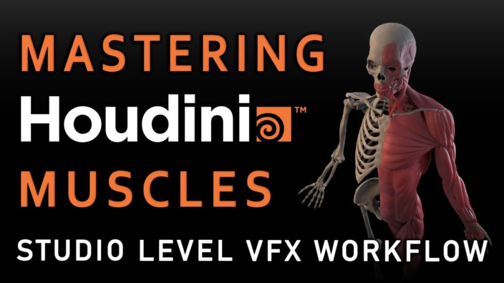 Houdini人体肌肉建模渲染全流程 视频教程 中英文字幕 Flippednormals – Mastering Houdini Muscles – Studio 设计教程 sucaiwan.com