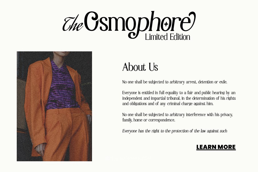 时尚复古美学杂志海报徽标设计衬线英文字体安装包 Lilleth Reality – Vintage Serif 设计素材 第4张-素材湾丨精选海外优质设计素材资源 时尚复古美学杂志海报徽标设计衬线英文字体安装包 Lilleth Reality – Vintage Serif 设计素材 sucaiwan.com