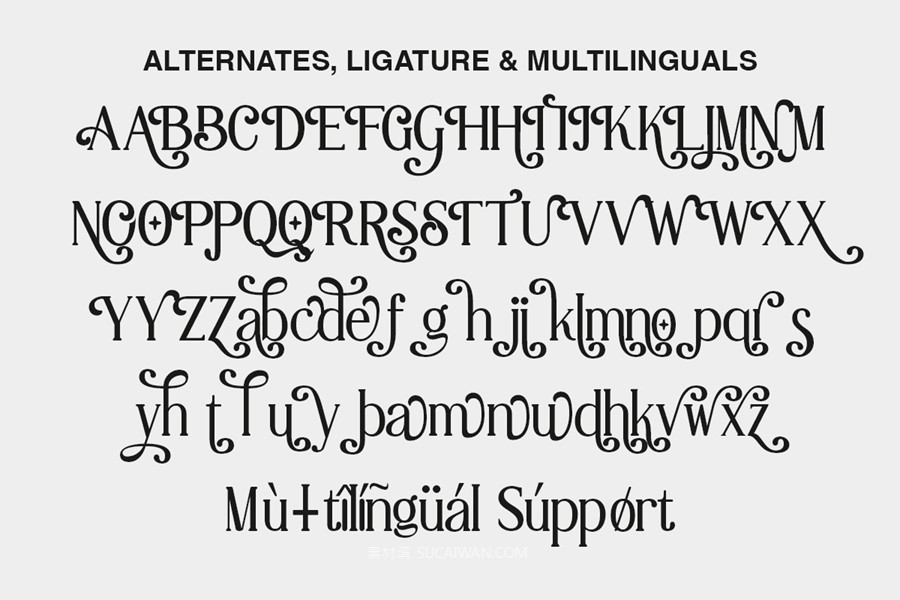 时尚复古美学杂志海报徽标设计衬线英文字体安装包 Lilleth Reality – Vintage Serif 设计素材 第9张-素材湾丨精选海外优质设计素材资源 时尚复古美学杂志海报徽标设计衬线英文字体安装包 Lilleth Reality – Vintage Serif 设计素材 sucaiwan.com