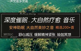 大自然流水鸟鸣安神助眠白噪音深度睡眠放松减压瑜伽音乐mp3