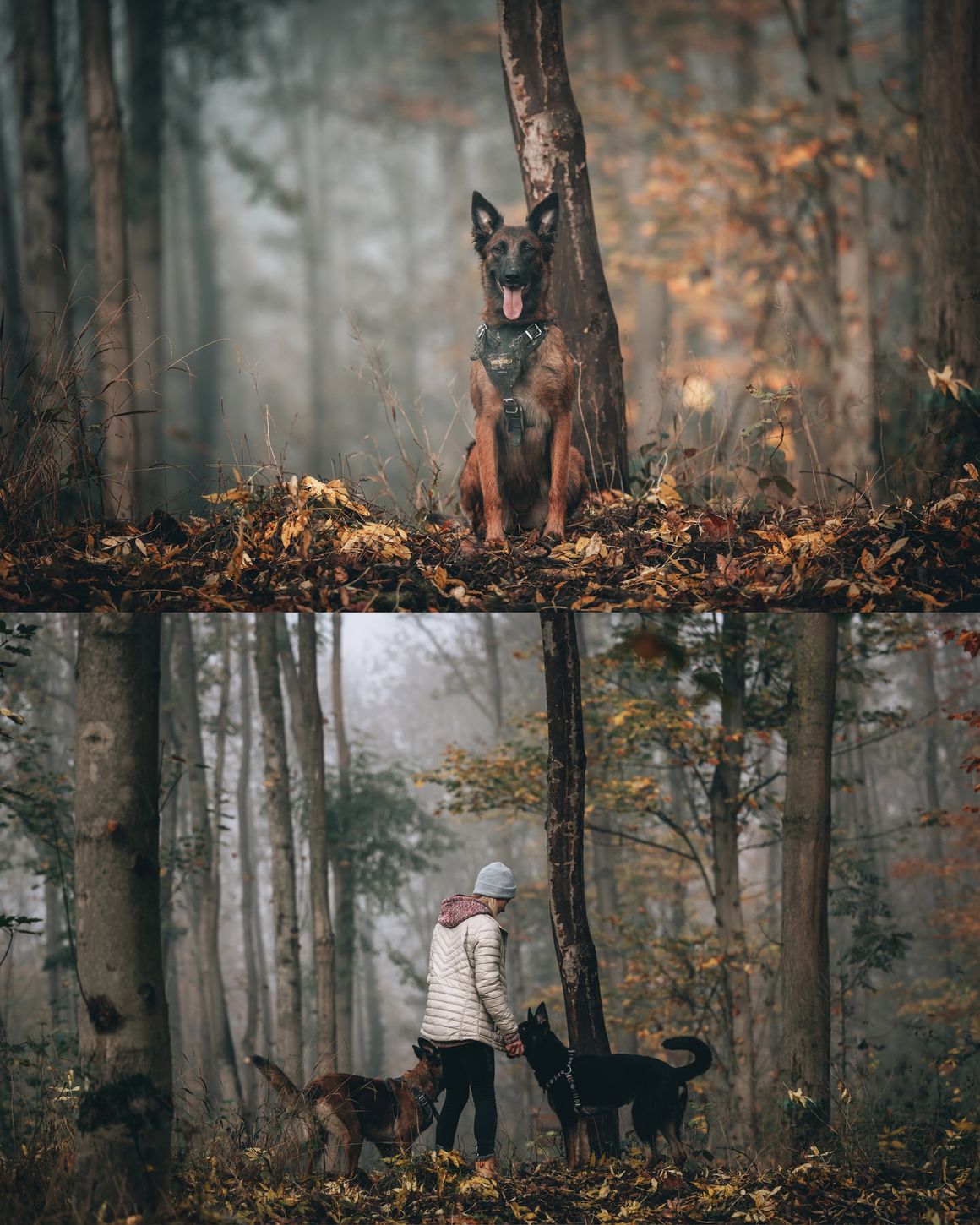 风格化锐化户外旅拍风景肖像调色Lightroom预设包 Christian Mate Grab – MOOD | 10 Lightroom Presets 插件预设 sucaiwan.com