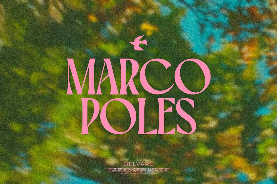 英文字体:复古精致优雅风格圆润浓缩衬线标题品牌海报字体 Belvare Retro Aesthetic Serif , 第3张-素材湾丨精选海外优质设计素材资源 英文字体:复古精致优雅风格圆润浓缩衬线标题品牌海报字体 Belvare Retro Aesthetic Serif , sucaiwan.com