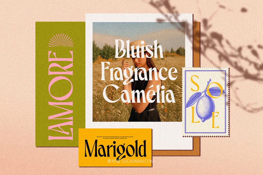 英文字体:复古精致优雅风格圆润浓缩衬线标题品牌海报字体 Belvare Retro Aesthetic Serif , 第12张-素材湾丨精选海外优质设计素材资源 英文字体:复古精致优雅风格圆润浓缩衬线标题品牌海报字体 Belvare Retro Aesthetic Serif , sucaiwan.com