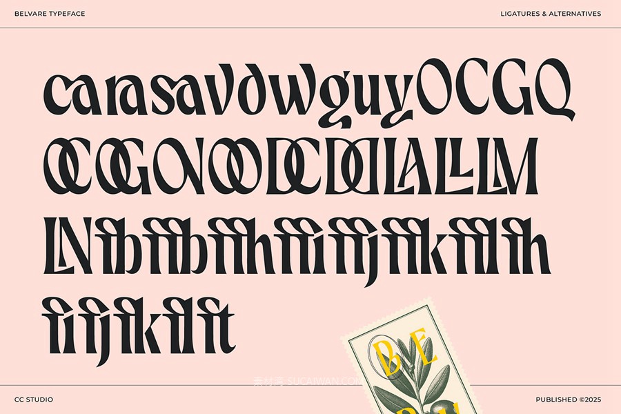 英文字体:复古精致优雅风格圆润浓缩衬线标题品牌海报字体 Belvare Retro Aesthetic Serif , 第22张-素材湾丨精选海外优质设计素材资源 英文字体:复古精致优雅风格圆润浓缩衬线标题品牌海报字体 Belvare Retro Aesthetic Serif , sucaiwan.com