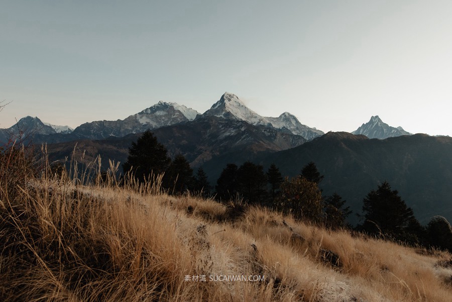 永恒纯粹原始美学电影级户外婚礼情侣肖像摄影照片调色Lightroom预设Archipelago – Vertias + Light Effects , 第6张-素材湾丨精选海外优质设计素材资源 永恒纯粹原始美学电影级户外婚礼情侣肖像摄影照片调色Lightroom预设Archipelago – Vertias + Light Effects , sucaiwan.com