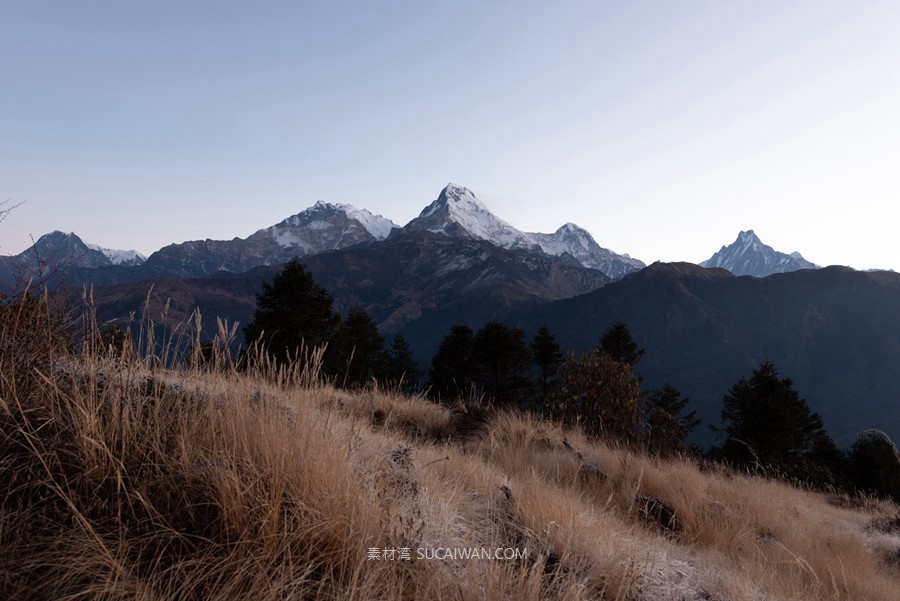 永恒纯粹原始美学电影级户外婚礼情侣肖像摄影照片调色Lightroom预设Archipelago – Vertias + Light Effects , 第7张-素材湾丨精选海外优质设计素材资源 永恒纯粹原始美学电影级户外婚礼情侣肖像摄影照片调色Lightroom预设Archipelago – Vertias + Light Effects , sucaiwan.com