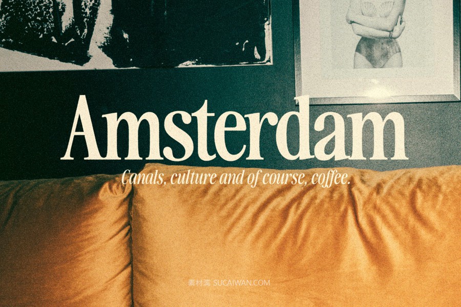 英文字体： 梦幻优雅自然有机极简主义海报排版标题衬线字体家族 The Awesome Serif Family (32 Fonts) 设计素材 sucaiwan.com