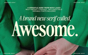 英文字体： 梦幻优雅自然有机极简主义海报排版标题衬线字体家族 The Awesome Serif Family (32 Fonts)