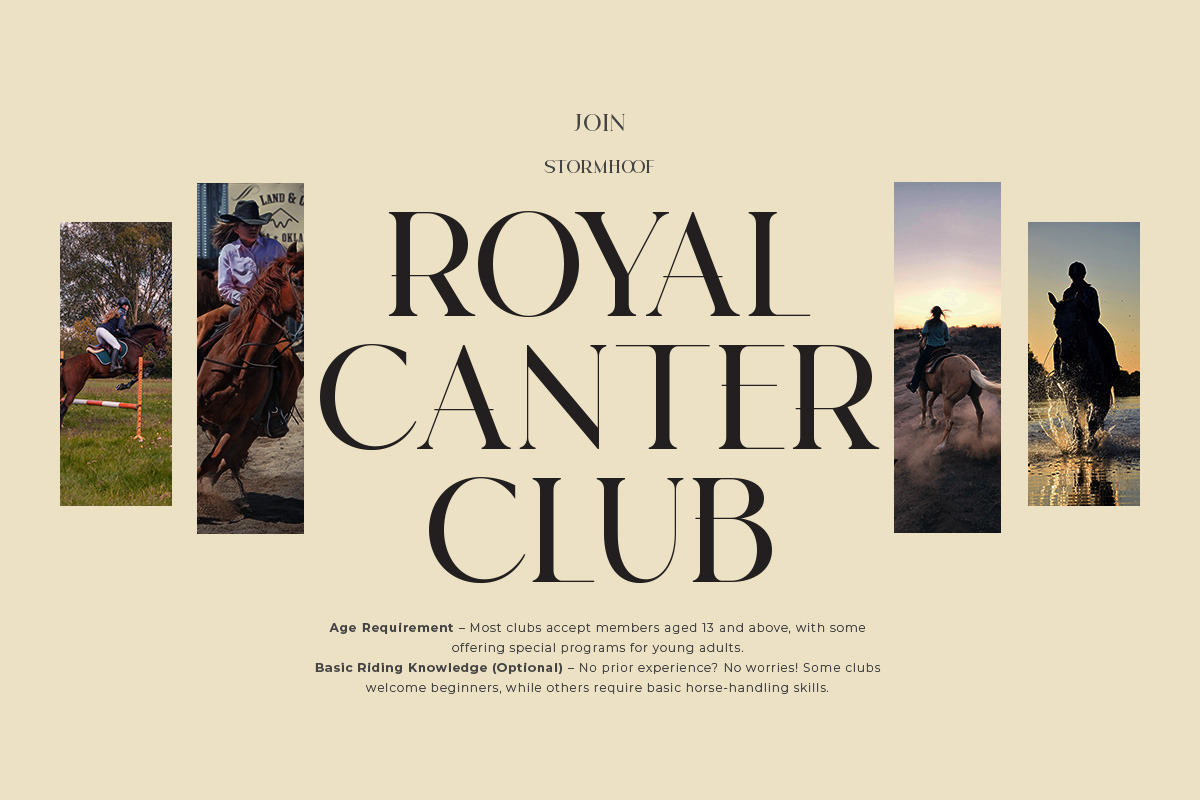 时尚优雅品牌海报徽标设计衬线英文字体安装包 Royal Elegance – Modern Luxury Feminine Serif , 第5张-素材湾丨精选海外优质设计素材资源 时尚优雅品牌海报徽标设计衬线英文字体安装包 Royal Elegance – Modern Luxury Feminine Serif , sucaiwan.com