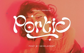 优雅复古杂志海报徽标设计装饰英文字体安装包 Portic – Aesthetic Font