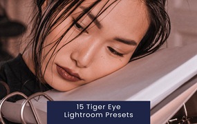 15组复古ins风电影婚礼博主摄影照片调色Lightroom预设 15 Tiger Eye Lightroom Presets