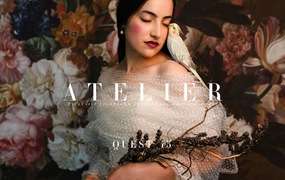 大胆精致人像肖像商业摄影Lightroom调色预设 Archipelago Quest QUEST 45 – ATELIER