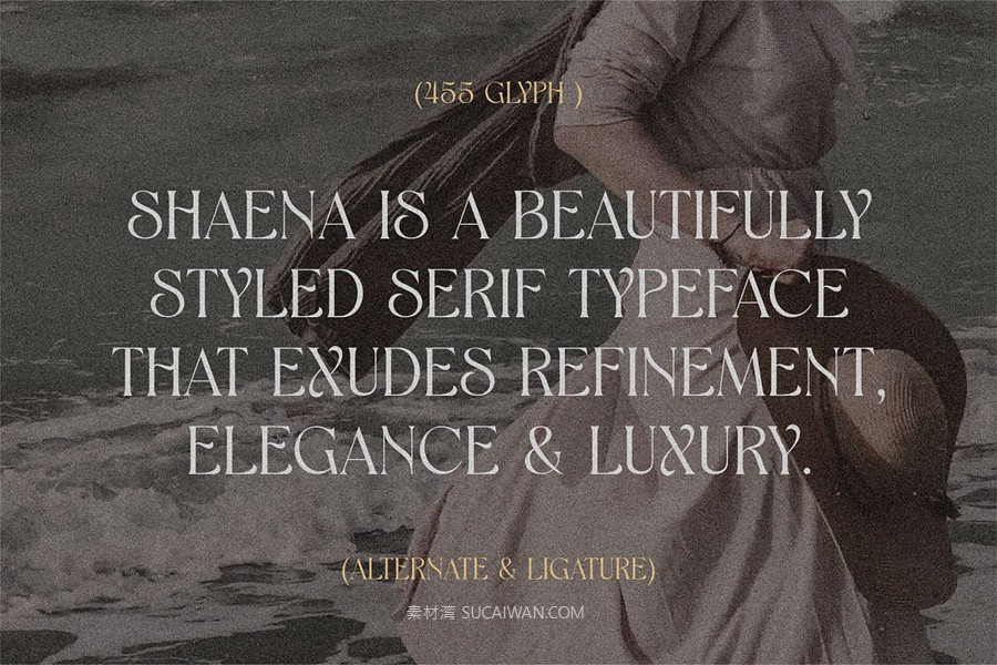 时尚优雅品牌海报婚礼设计衬线英文字体安装包 Shaena – Beautiful Serif , sucaiwan.com