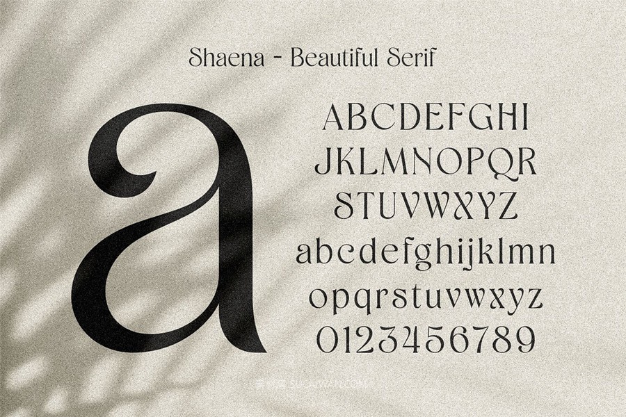 时尚优雅品牌海报婚礼设计衬线英文字体安装包 Shaena – Beautiful Serif , sucaiwan.com