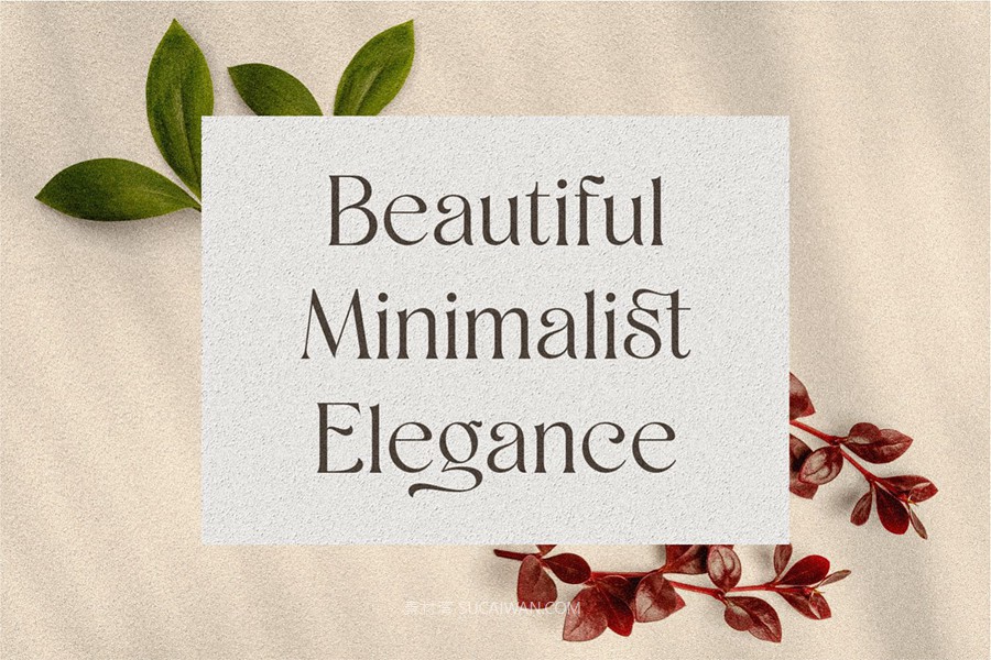 时尚优雅品牌海报婚礼设计衬线英文字体安装包 Shaena – Beautiful Serif , sucaiwan.com