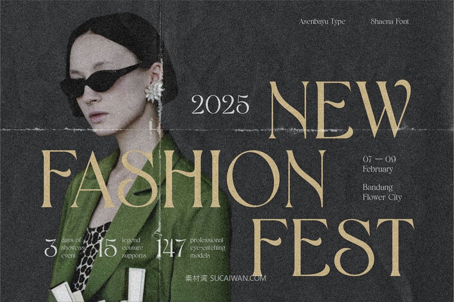 时尚优雅品牌海报婚礼设计衬线英文字体安装包 Shaena – Beautiful Serif , sucaiwan.com