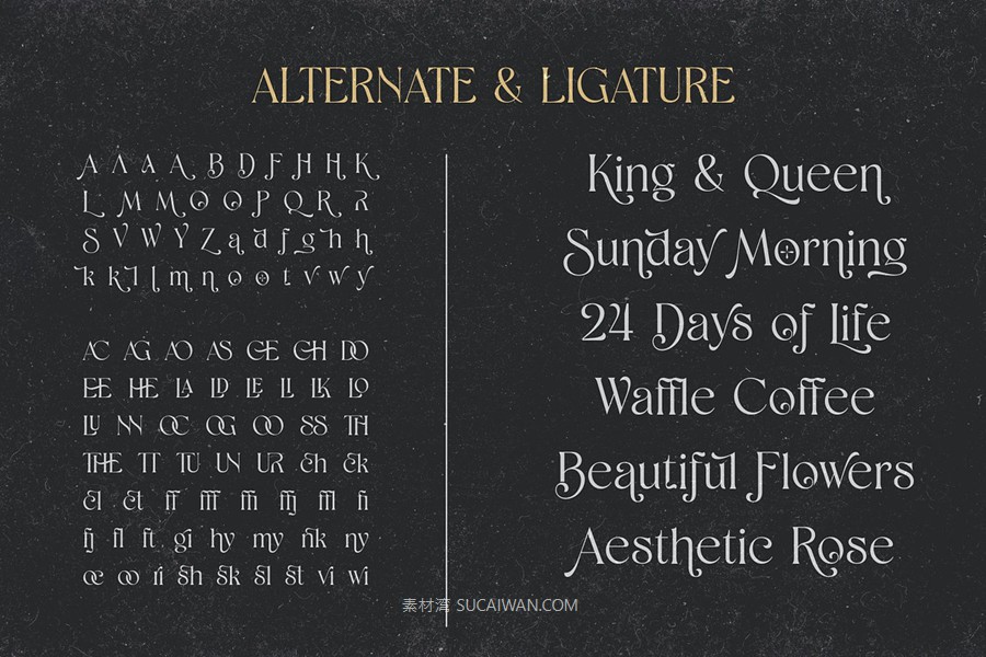 时尚优雅品牌海报婚礼设计衬线英文字体安装包 Shaena – Beautiful Serif , sucaiwan.com