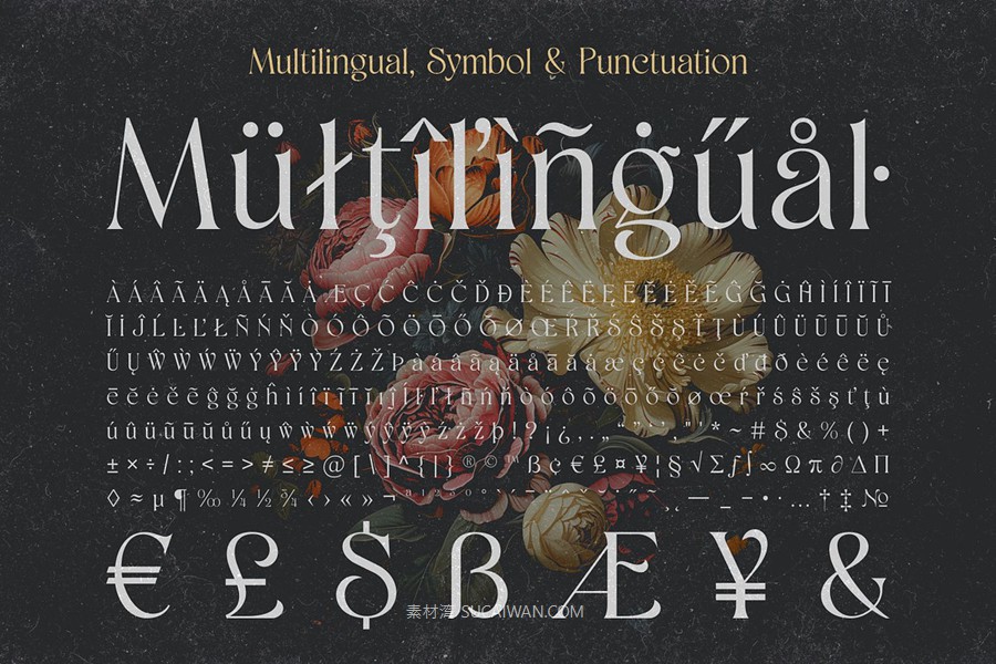 时尚优雅品牌海报婚礼设计衬线英文字体安装包 Shaena – Beautiful Serif , sucaiwan.com