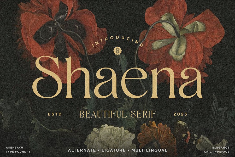 时尚优雅品牌海报婚礼设计衬线英文字体安装包 Shaena – Beautiful Serif , sucaiwan.com