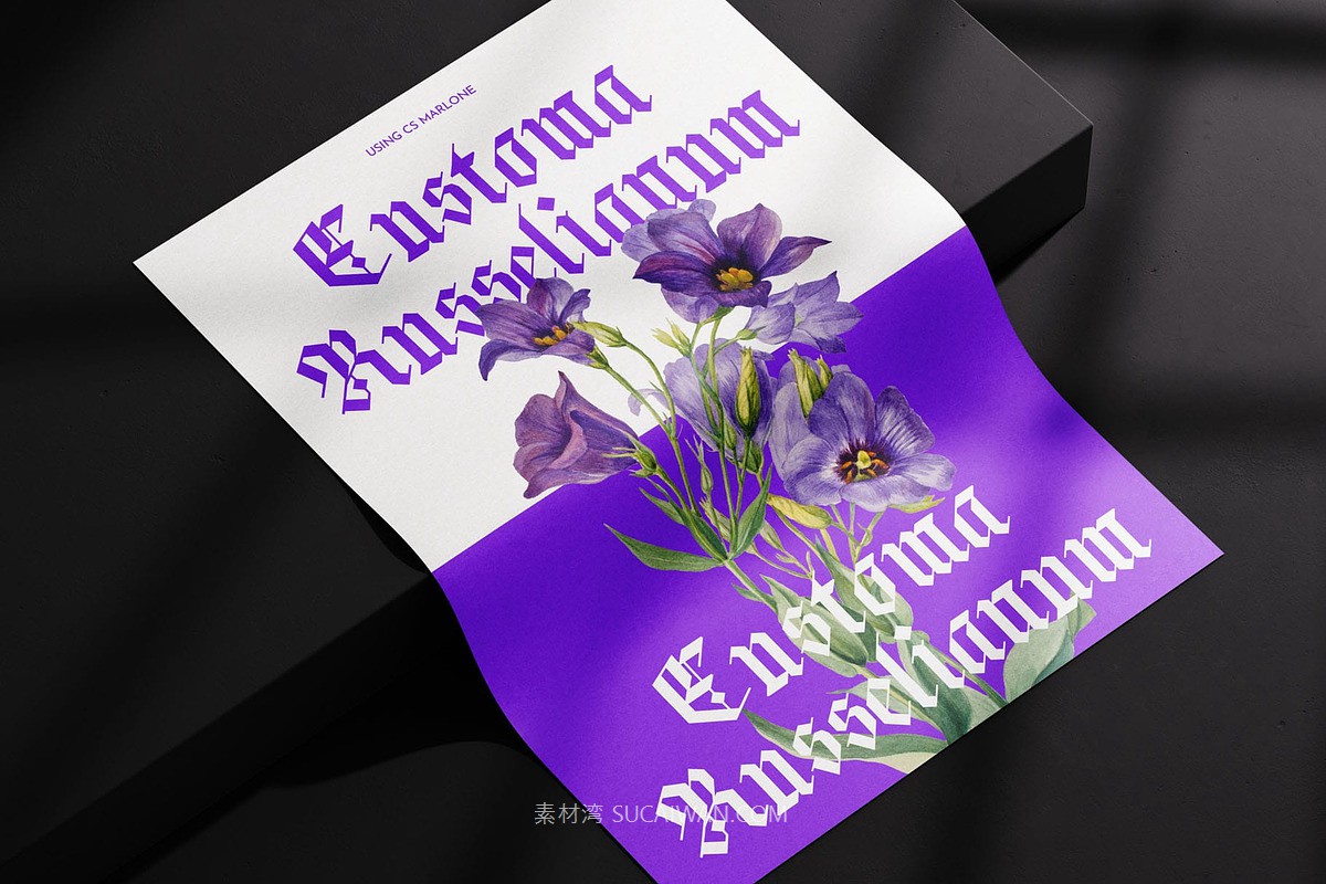 复古哥特式品牌海报徽标设计装饰英文字体安装包 Marlone – Blackletter Font , sucaiwan.com