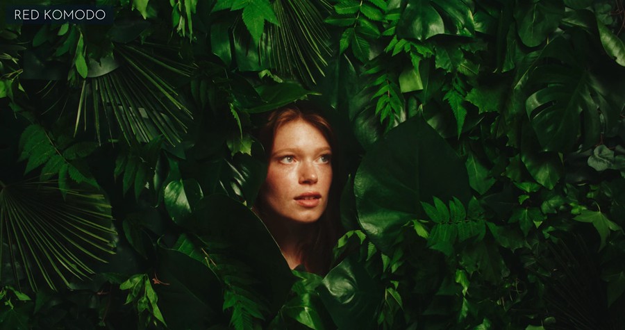 大师课程:Joo Works – ACES Lite Course 好莱坞网飞电影颜色分级工作流程视频课程 , 第5张-素材湾丨精选海外优质设计素材资源 大师课程:Joo Works – ACES Lite Course 好莱坞网飞电影颜色分级工作流程视频课程 , sucaiwan.com