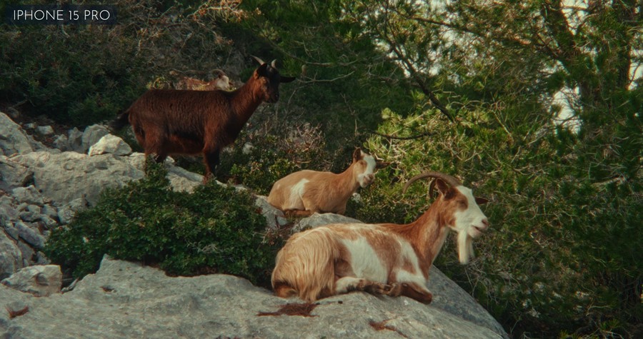 大师课程:Joo Works – ACES Lite Course 好莱坞网飞电影颜色分级工作流程视频课程 , 第10张-素材湾丨精选海外优质设计素材资源 大师课程:Joo Works – ACES Lite Course 好莱坞网飞电影颜色分级工作流程视频课程 , sucaiwan.com