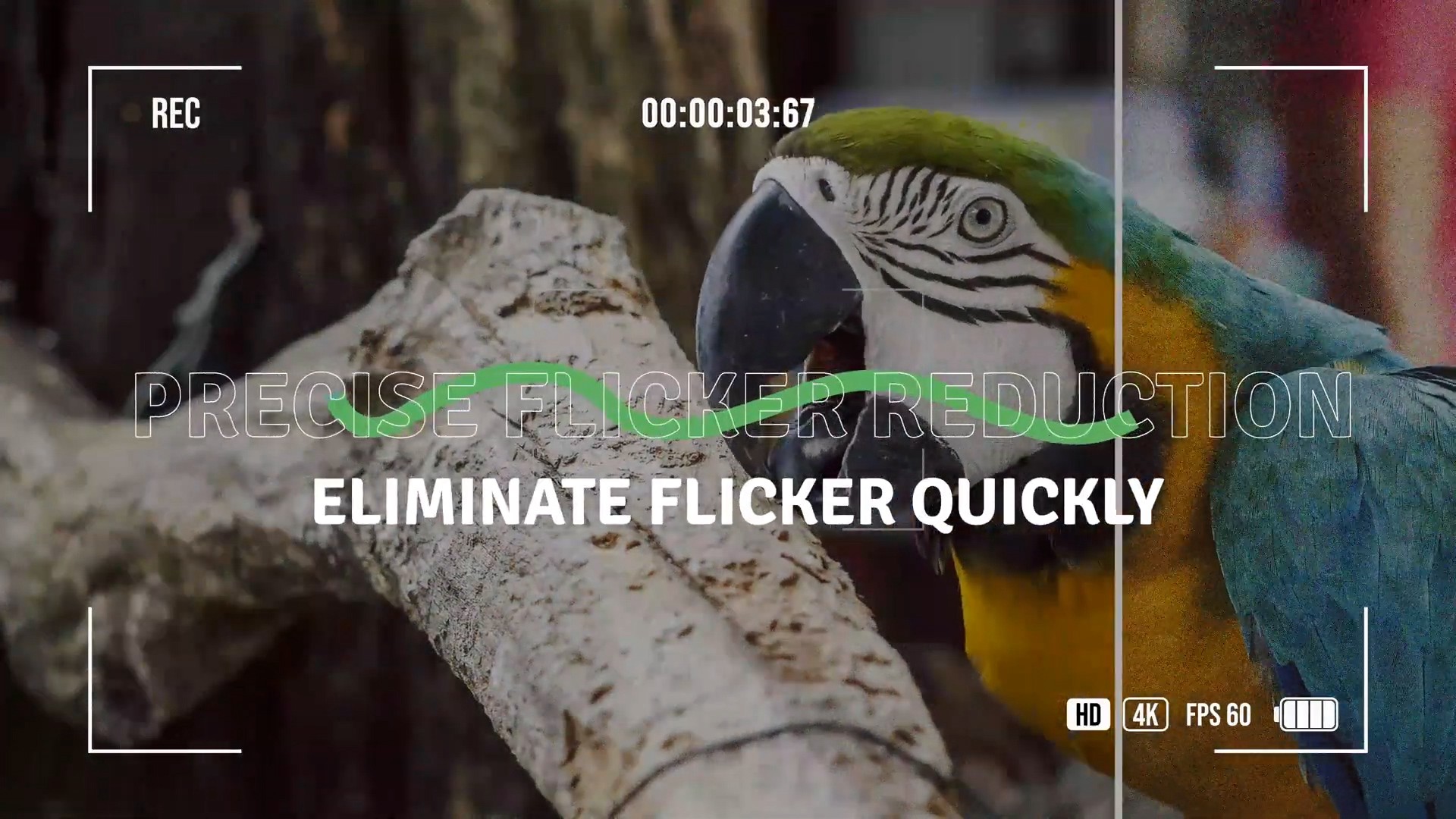 视频降噪插件:PR/AE/OFX达芬奇插件 Neat Video Pro V6.0.0 Win , 第3张-素材湾丨精选海外优质设计素材资源 视频降噪插件:PR/AE/OFX达芬奇插件 Neat Video Pro V6.0.0 Win , sucaiwan.com