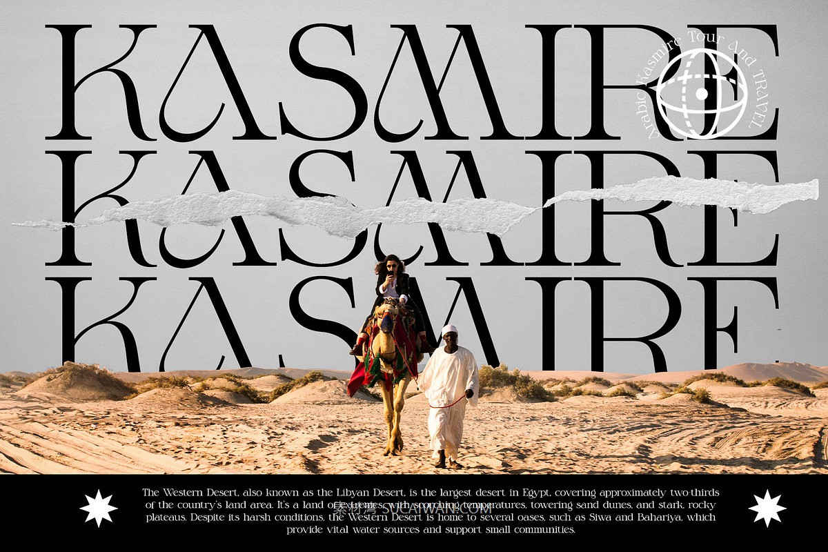 现代优雅品牌包装徽标设计衬线英文字体安装包 Halone Modern Serif Typeface , 第3张-素材湾丨精选海外优质设计素材资源 现代优雅品牌包装徽标设计衬线英文字体安装包 Halone Modern Serif Typeface , sucaiwan.com