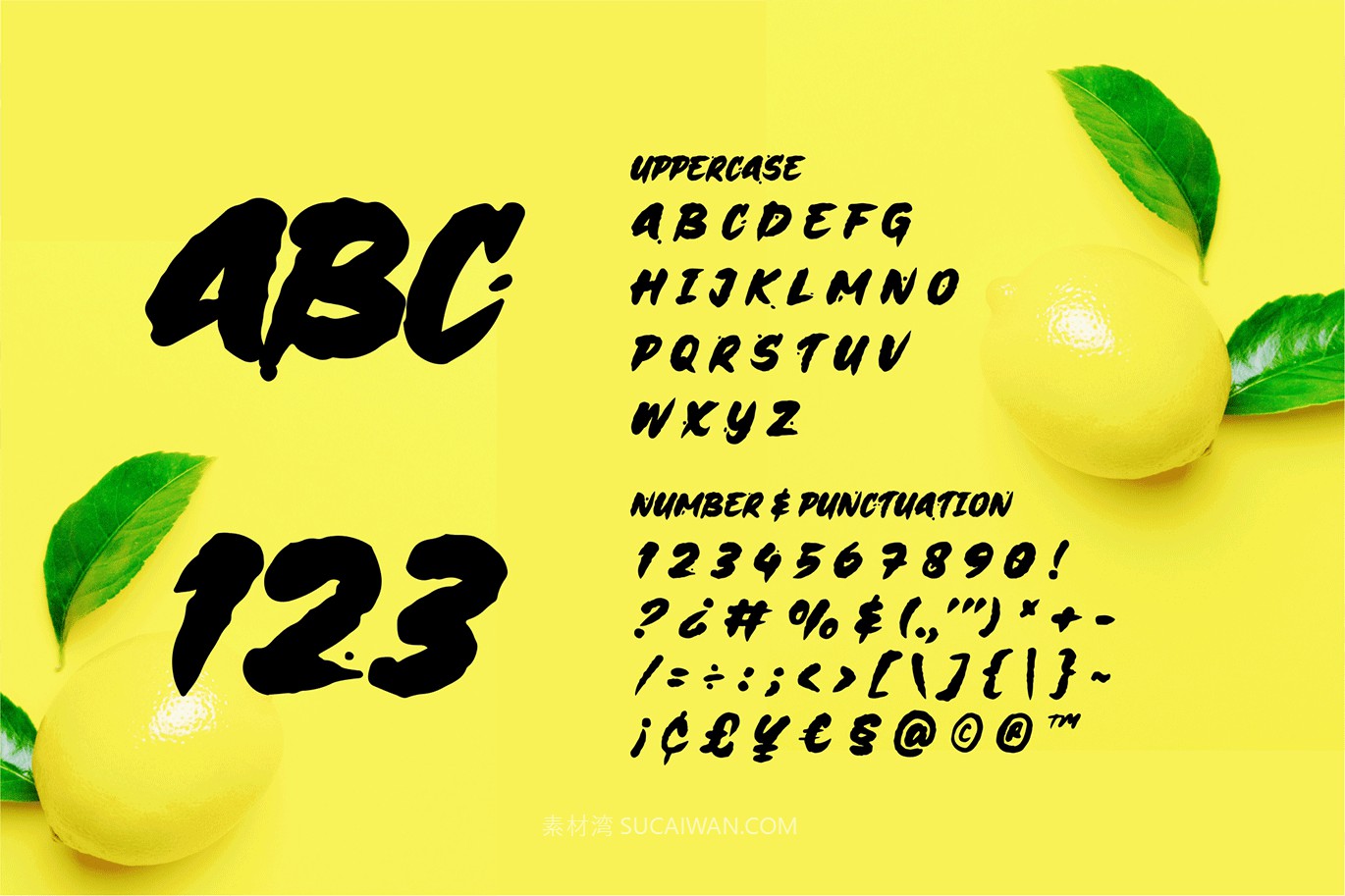 时尚创意品牌海报徽标设计无衬线英文字体安装包 Scribles – A Brush Font , 第6张-素材湾丨精选海外优质设计素材资源 时尚创意品牌海报徽标设计无衬线英文字体安装包 Scribles – A Brush Font , sucaiwan.com