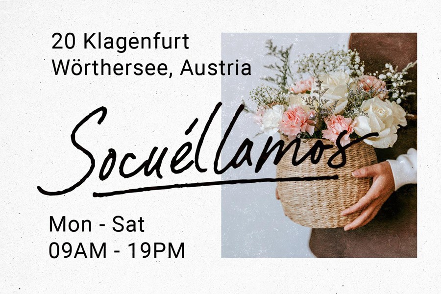 优雅复古品牌杂志包装封面设计手写英文字体安装包 Paradine — Ligature Handwritten Font , sucaiwan.com