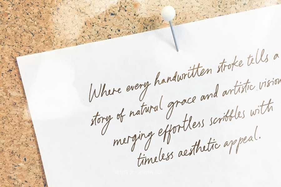 优雅复古品牌杂志包装封面设计手写英文字体安装包 Paradine — Ligature Handwritten Font , sucaiwan.com