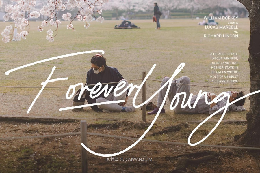 优雅复古品牌杂志包装封面设计手写英文字体安装包 Paradine — Ligature Handwritten Font , sucaiwan.com