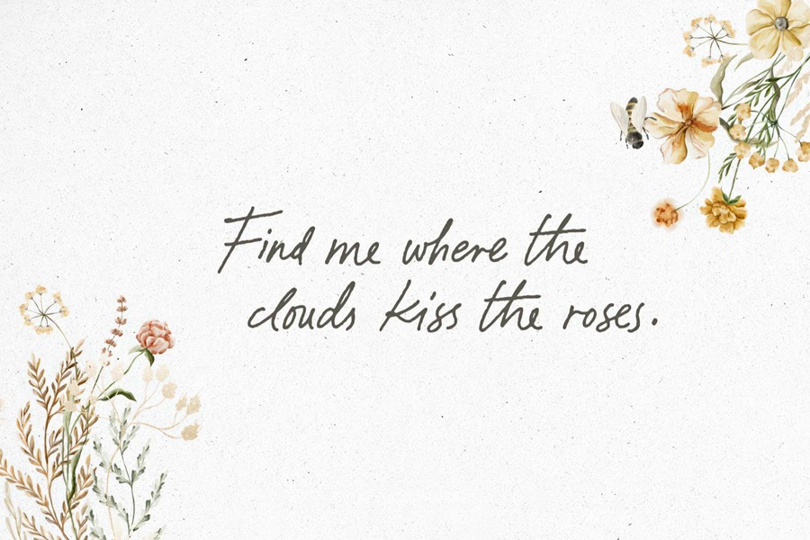 优雅复古品牌杂志包装封面设计手写英文字体安装包 Paradine — Ligature Handwritten Font , sucaiwan.com