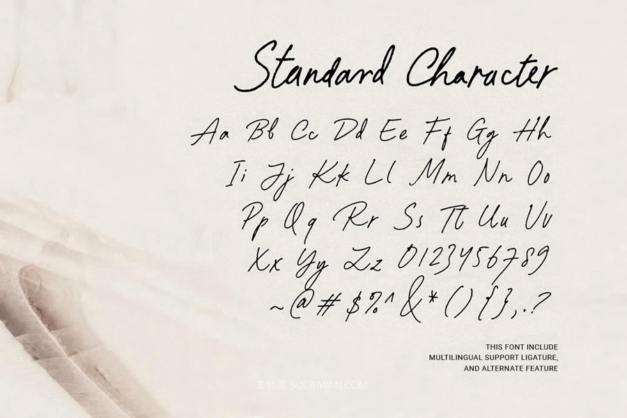优雅复古品牌杂志包装封面设计手写英文字体安装包 Paradine — Ligature Handwritten Font , sucaiwan.com