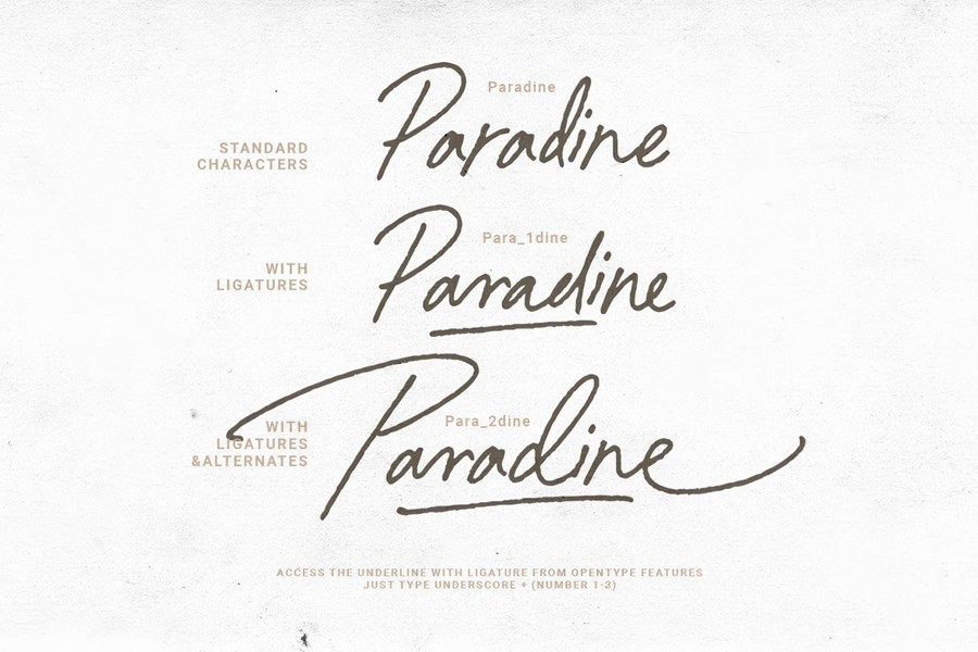 优雅复古品牌杂志包装封面设计手写英文字体安装包 Paradine — Ligature Handwritten Font , sucaiwan.com