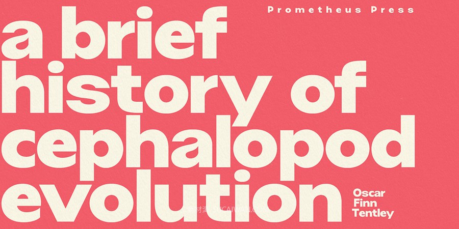 复古风格化几何风视觉海报杂志Logo设计PSAI无衬线英文字体安装包 Myfonts – Grafik Poster Font Family 设计素材 sucaiwan.com