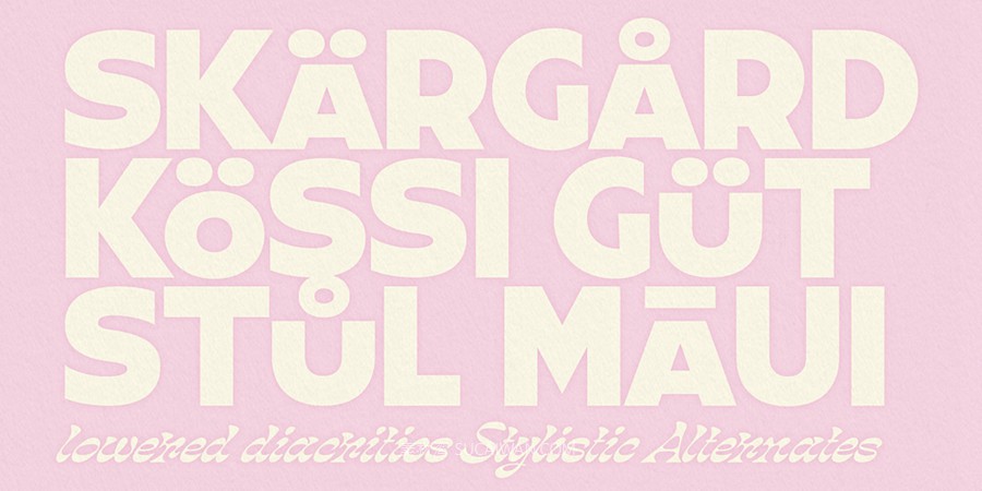 复古风格化几何风视觉海报杂志Logo设计PSAI无衬线英文字体安装包 Myfonts – Grafik Poster Font Family 设计素材 sucaiwan.com