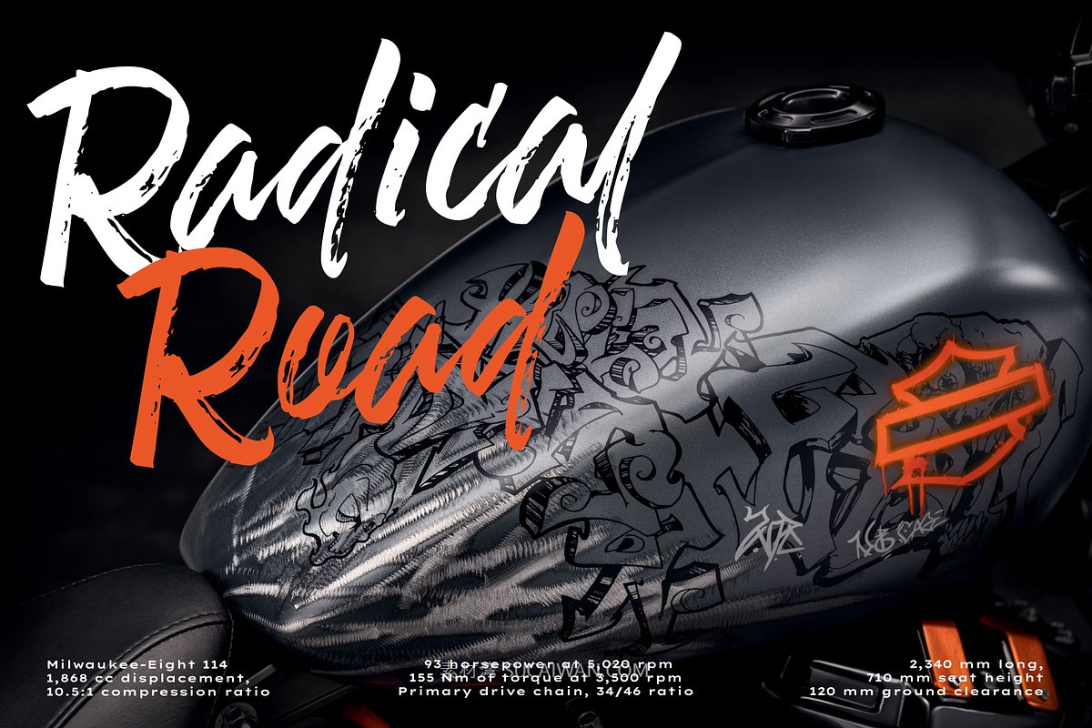 时尚品牌海报徽标设计手写英文字体安装包 Stallion Beatsides – Dry Brush Font 设计素材 第6张-素材湾丨精选海外优质设计素材资源 时尚品牌海报徽标设计手写英文字体安装包 Stallion Beatsides – Dry Brush Font 设计素材 sucaiwan.com