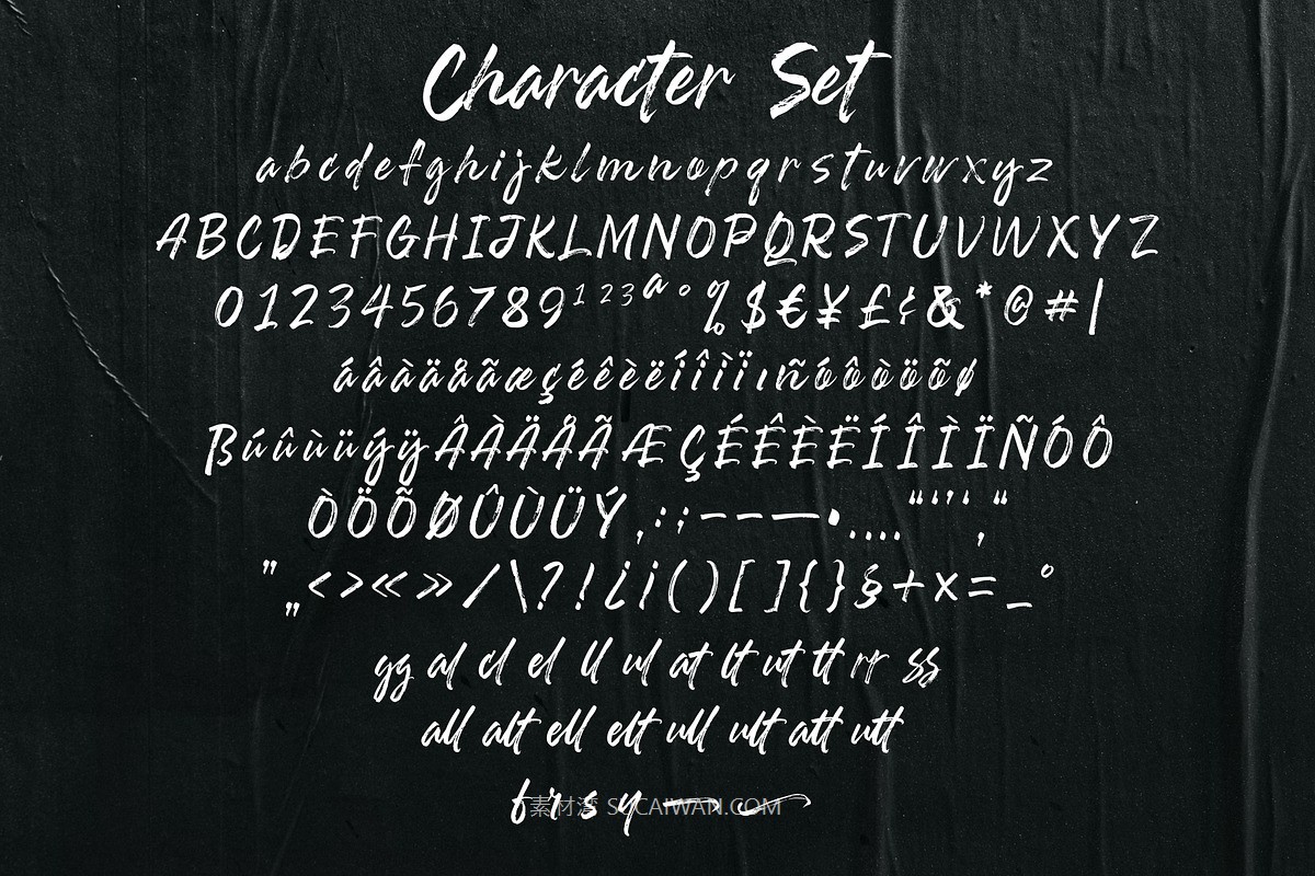 时尚品牌海报徽标设计手写英文字体安装包 Stallion Beatsides – Dry Brush Font 设计素材 第8张-素材湾丨精选海外优质设计素材资源 时尚品牌海报徽标设计手写英文字体安装包 Stallion Beatsides – Dry Brush Font 设计素材 sucaiwan.com