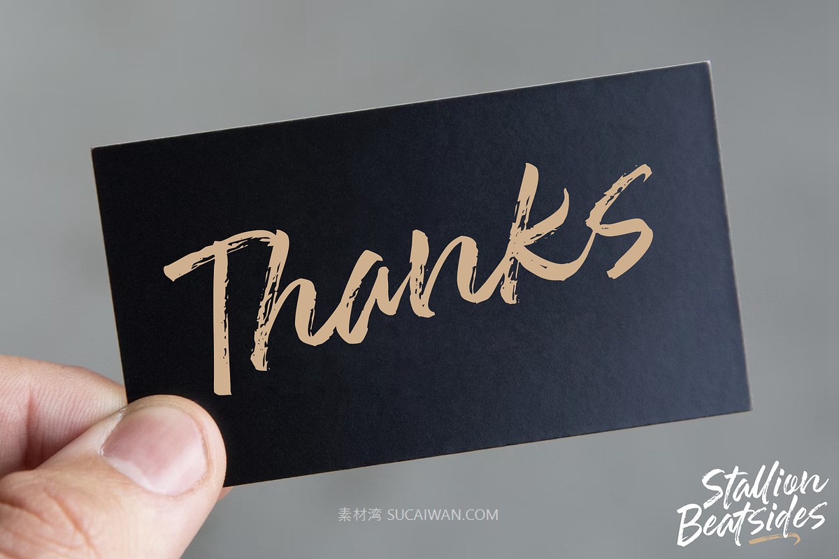 时尚品牌海报徽标设计手写英文字体安装包 Stallion Beatsides – Dry Brush Font 设计素材 第11张-素材湾丨精选海外优质设计素材资源 时尚品牌海报徽标设计手写英文字体安装包 Stallion Beatsides – Dry Brush Font 设计素材 sucaiwan.com