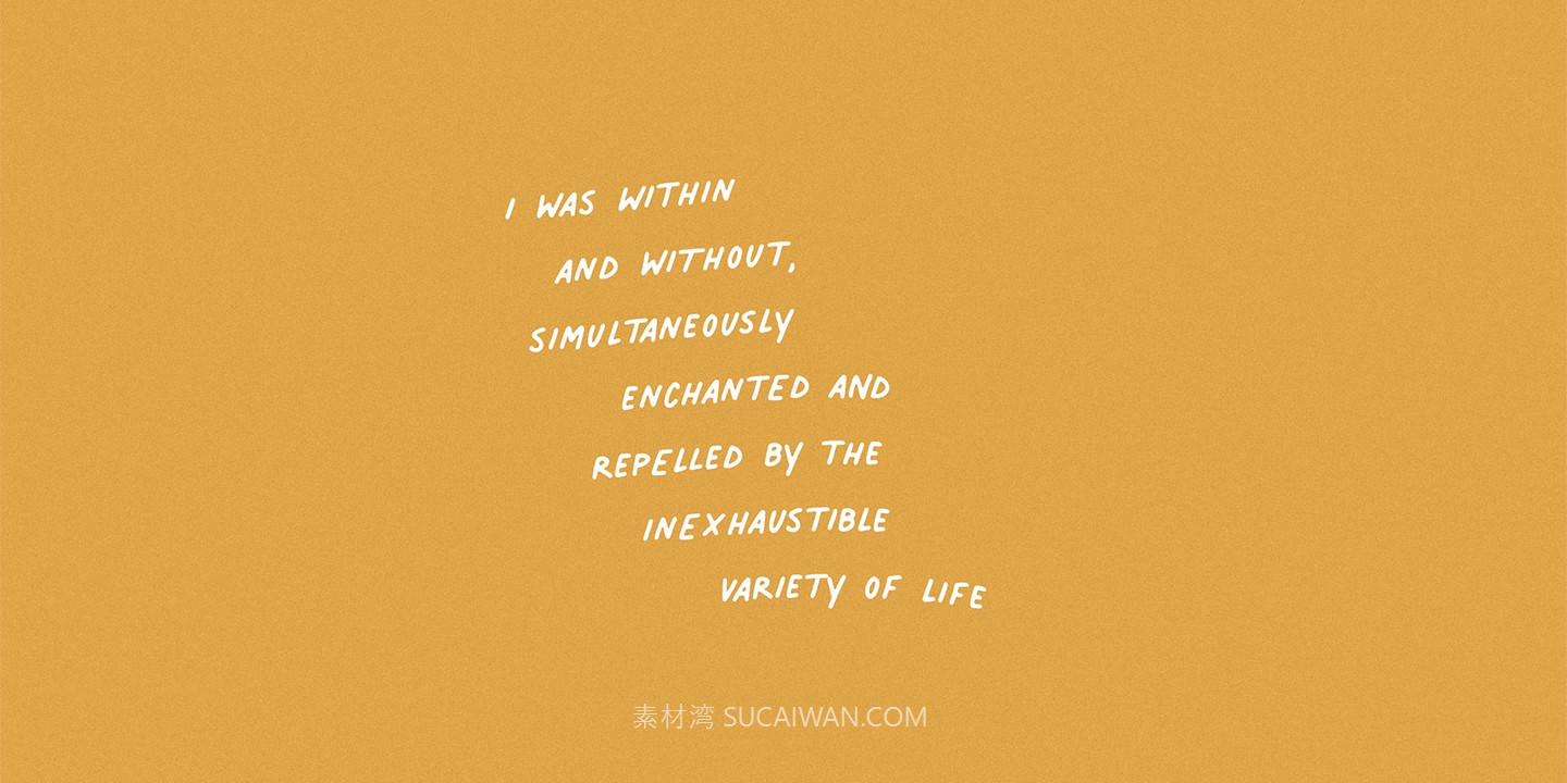 时尚ins风国外手写签名社交媒体品牌logo设计psai英文字体安装包 Myfonts – Palmer Lake Complete Family 设计素材 第9张-素材湾丨精选海外优质设计素材资源 时尚ins风国外手写签名社交媒体品牌logo设计psai英文字体安装包 Myfonts – Palmer Lake Complete Family 设计素材 sucaiwan.com